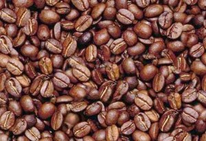 Entre Père et Fils : perdu dans les grains de café